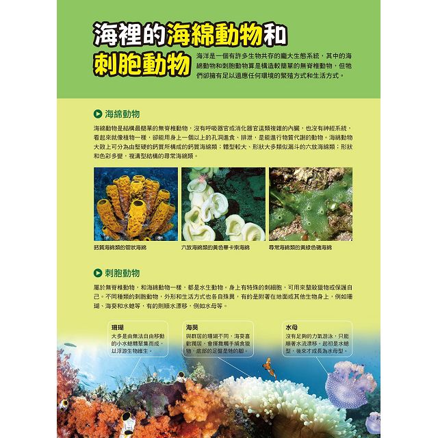 漫畫大英百科 生物地科14 無脊椎動物 金石堂