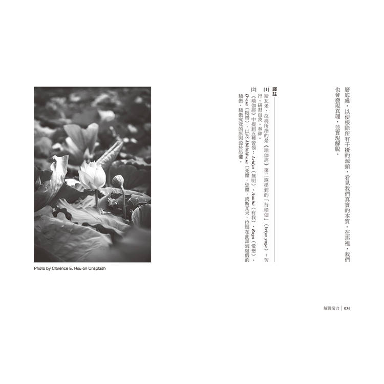 業力:掙脫心的束縛 業力:掙脫心的束縛