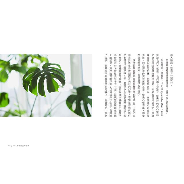 善待自己的一年:12個月的療傷練習×生活提案,從最簡單的小事開始照顧自我 善待自己的一年:12個月的療傷練習×生活提案,從最簡單的小事開始照顧自我