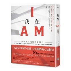 我在I AM：最簡潔有效的開悟指引 | 拾書所