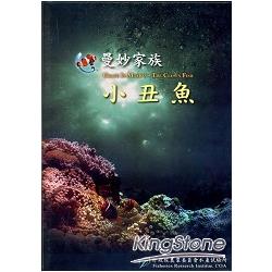 曼妙家族-小丑魚DVD | 拾書所