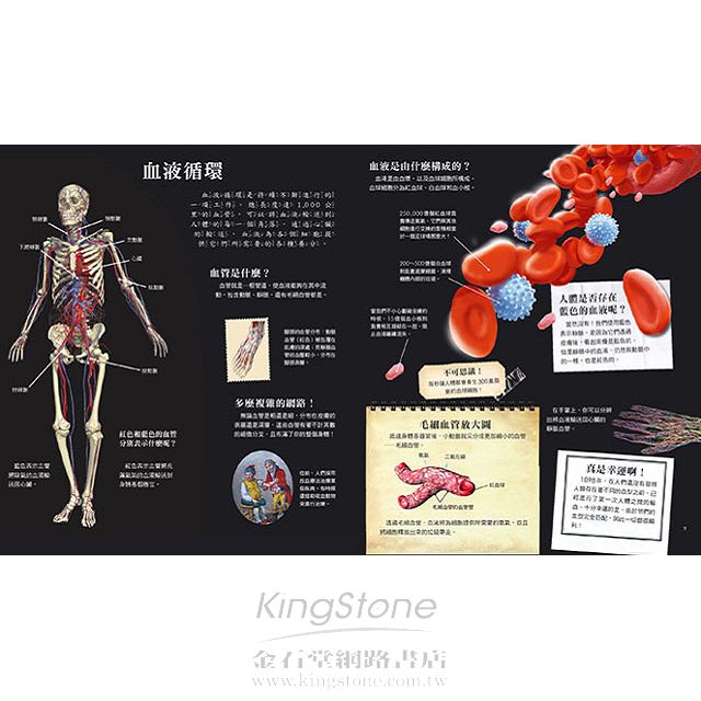 驚奇立體酷百科-揭開人體的奧秘 驚奇立體酷百科-揭開人體的奧秘