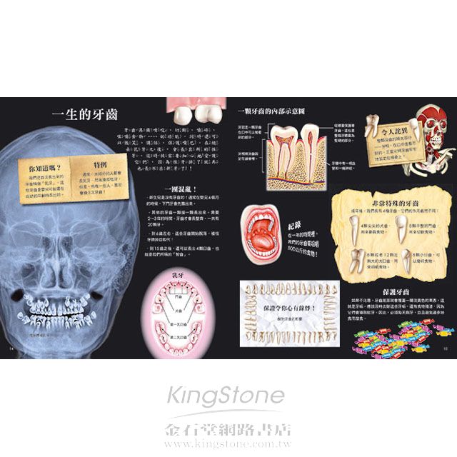 驚奇立體酷百科-揭開人體的奧秘 驚奇立體酷百科-揭開人體的奧秘