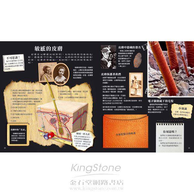 驚奇立體酷百科-揭開人體的奧秘 驚奇立體酷百科-揭開人體的奧秘
