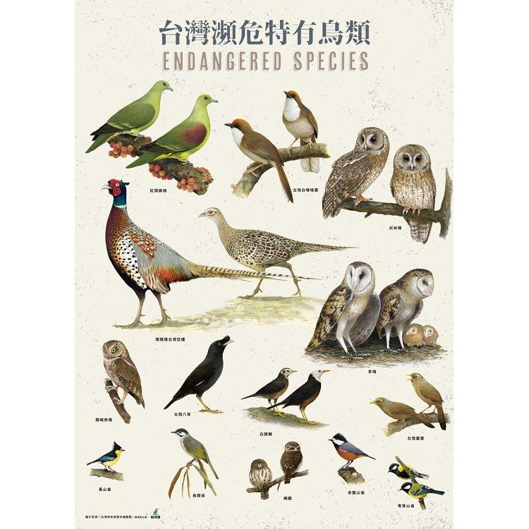 台灣瀕危特有鳥類手繪海報【金石堂、博客來熱銷】