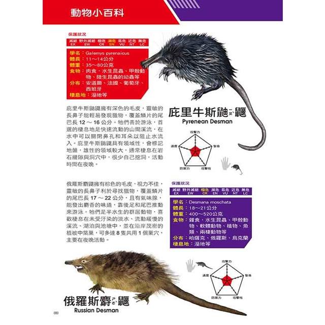 X萬獸探險隊Ⅲ:(12)星鼻怪手 星鼻鼴VS東部林鼠(附學習單) X萬獸探險隊Ⅲ:(12)星鼻怪手 星鼻鼴VS東部林鼠(附學習單)