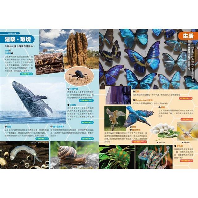 哆啦A夢科學任意門(21-25集) 哆啦A夢科學任意門(21-25集)