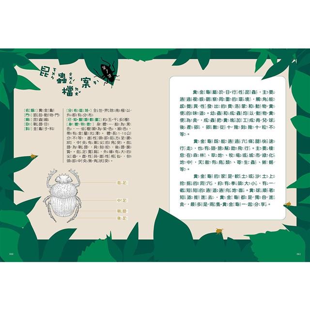 神奇圖書館:昆蟲特戰隊 1-4冊套書﹝中高年級知識讀本﹞(加贈人物書卡一套) 神奇圖書館:昆蟲特戰隊 1-4冊套書﹝中高年級知識讀本﹞(加贈人物書卡一套)