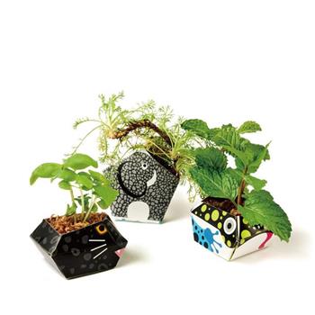 OriBon摺紙盆栽組合：黑豹/大象/箭毒蛙