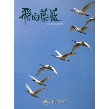 飛向蔚藍：台江鳥類生態影(USB)