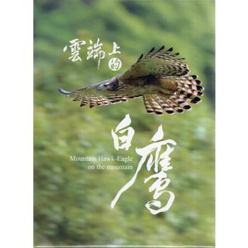 雲端上的白鷹 (DVD)