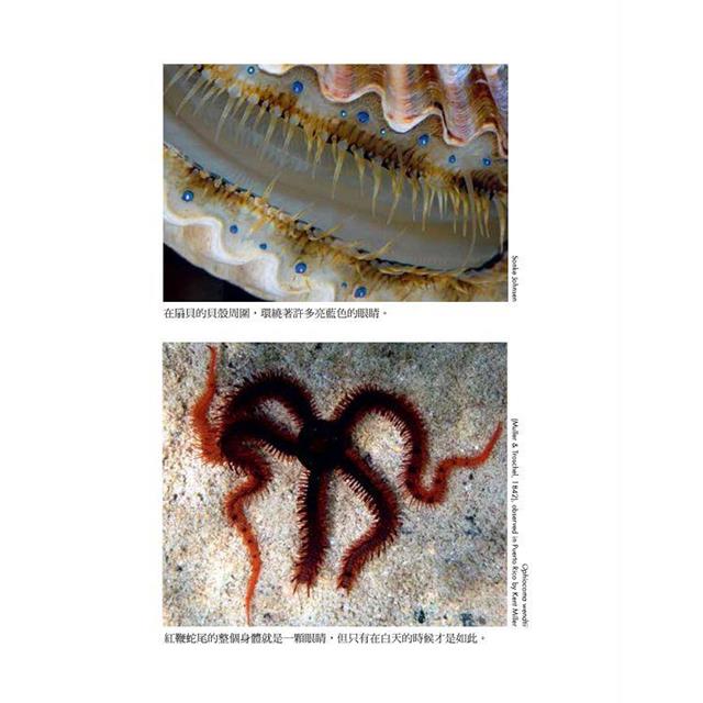 五感之外的世界:認識動物神奇的感知系統,探見人類感官無法觸及的大自然 五感之外的世界:認識動物神奇的感知系統,探見人類感官無法觸及的大自然