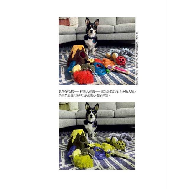 五感之外的世界:認識動物神奇的感知系統,探見人類感官無法觸及的大自然 五感之外的世界:認識動物神奇的感知系統,探見人類感官無法觸及的大自然