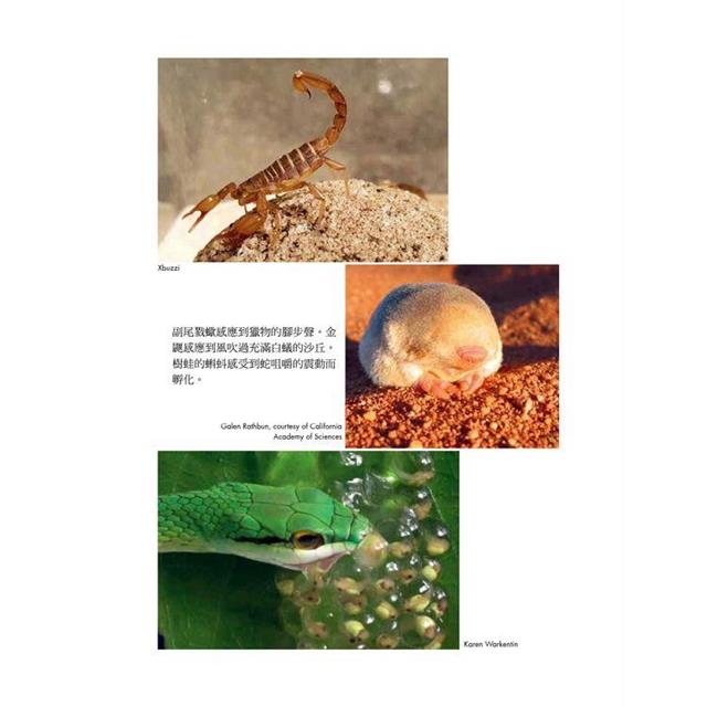 五感之外的世界:認識動物神奇的感知系統,探見人類感官無法觸及的大自然 五感之外的世界:認識動物神奇的感知系統,探見人類感官無法觸及的大自然