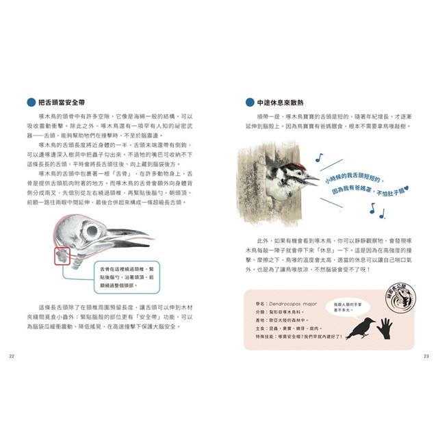 小怪獸備忘錄:你不知道的動物生存技 小怪獸備忘錄:你不知道的動物生存技