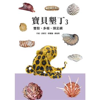 寶貝墾丁3：雙殼、多板、頭足綱