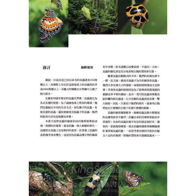 昆蟲顏面圖鑑 昆蟲顏面圖鑑