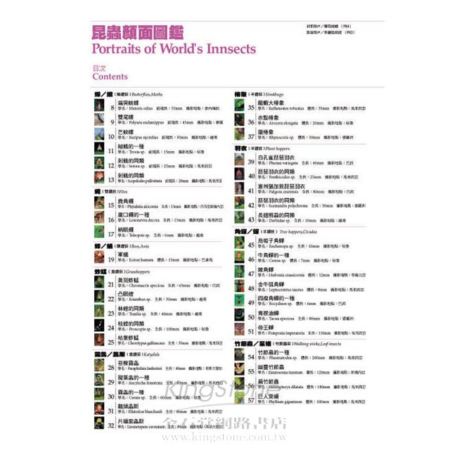 昆蟲顏面圖鑑 昆蟲顏面圖鑑