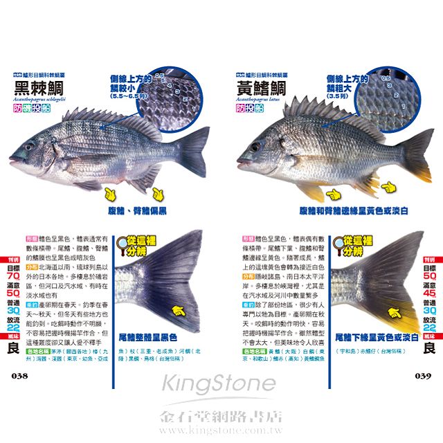 海水魚完全識別圖解 267種海水魚全解析 金石堂