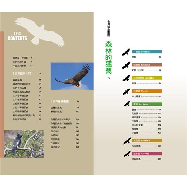 猛禽觀察圖鑑 全新增訂版 A Field Guide To The Raptors Of Taiwan 金石堂自然科普