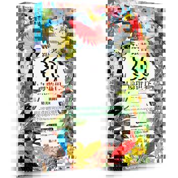 跟著80種鳥環遊世界：從印度栗鳶到智利安地斯神鷹，探索不同地理環境中的鳥類自然生態