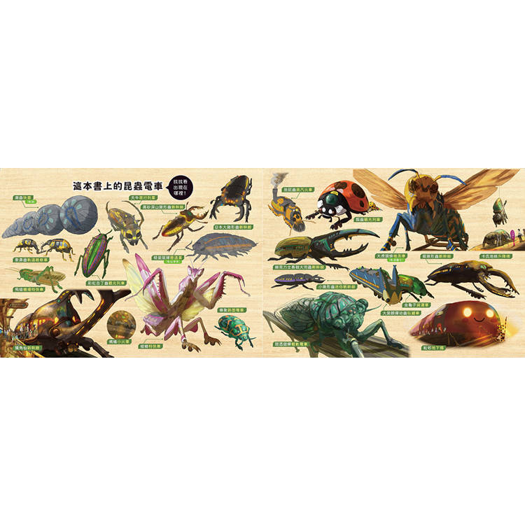 驚奇交通工具套書(二冊):(限量贈送「生物列車出動趣貼紙」)《恐龍巴士大驚奇》、《昆蟲電車大出動》 驚奇交通工具套書(二冊):(限量贈送「生物列車出動趣貼紙」)《恐龍巴士大驚奇》、《昆蟲電車大出動》