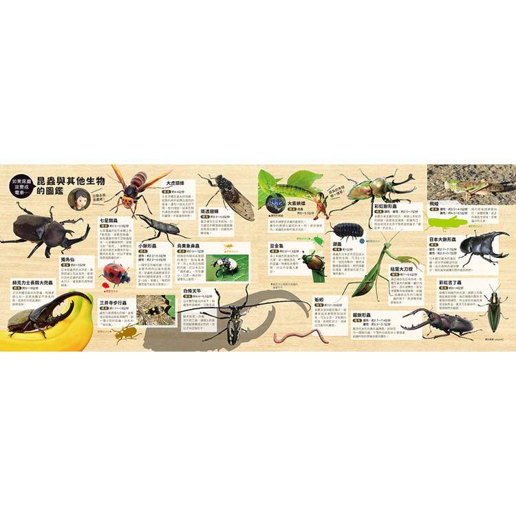 驚奇交通工具套書(二冊):(限量贈送「生物列車出動趣貼紙」)《恐龍巴士大驚奇》、《昆蟲電車大出動》 驚奇交通工具套書(二冊):(限量贈送「生物列車出動趣貼紙」)《恐龍巴士大驚奇》、《昆蟲電車大出動》