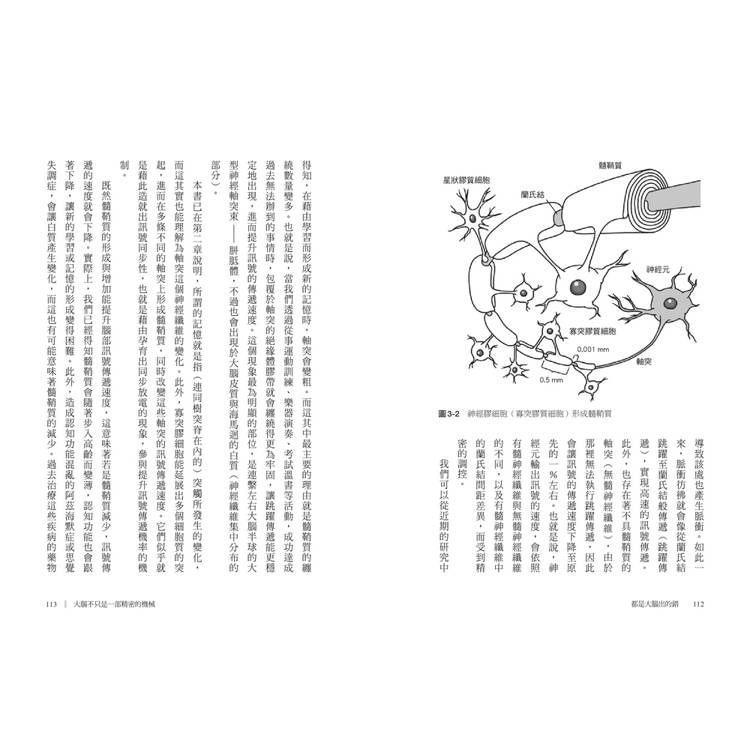 都是大腦出的錯:不完美的大腦如何影響人類,AI人工智慧能否取而代之?解析大腦的缺陷與創造力 都是大腦出的錯:不完美的大腦如何影響人類,AI人工智慧能否取而代之?解析大腦的缺陷與創造力