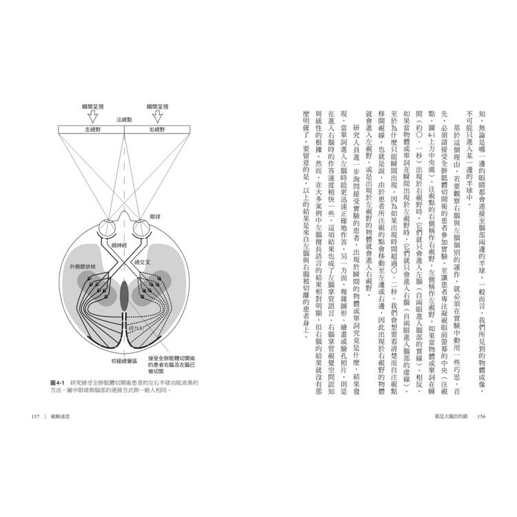都是大腦出的錯:不完美的大腦如何影響人類,AI人工智慧能否取而代之?解析大腦的缺陷與創造力 都是大腦出的錯:不完美的大腦如何影響人類,AI人工智慧能否取而代之?解析大腦的缺陷與創造力