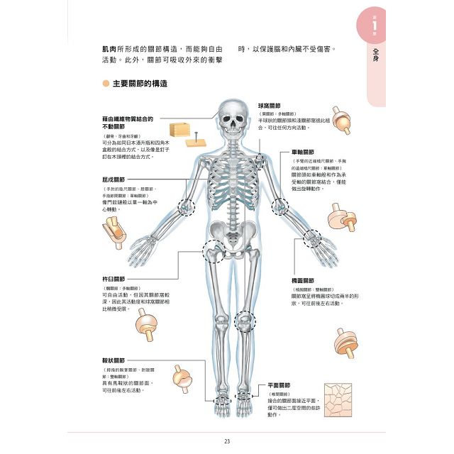 保存版】 人体の解剖生理學 文学/小説 - education.semel.ucla.edu