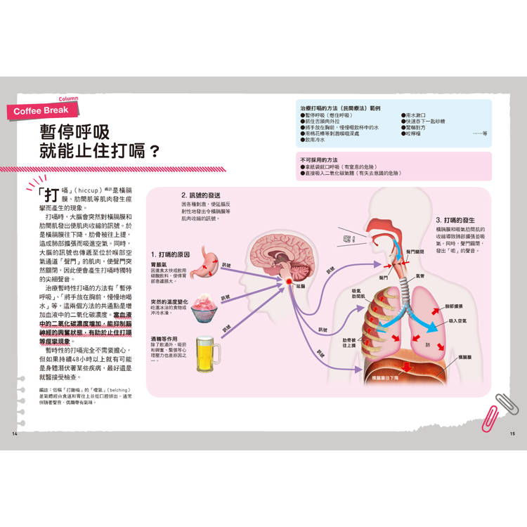 人體:從多種小知識更加瞭解自己的身體!  新觀念伽利略11 人體:從多種小知識更加瞭解自己的身體!  新觀念伽利略11