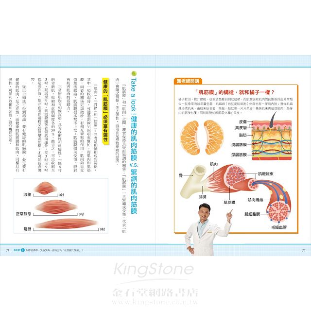 30秒完治 神奇的網球按摩解痛解剖書 復健科都在用的痠痛自救全療法 一顆網球讓你筋鬆快 附dvd 金石堂