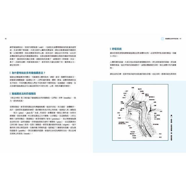 調息之光(二版):瑜伽呼吸修練聖經 調息之光(二版):瑜伽呼吸修練聖經