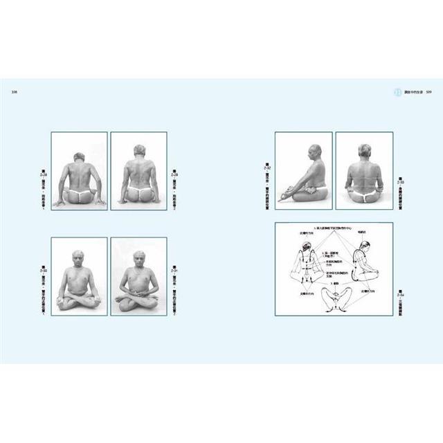 調息之光(二版):瑜伽呼吸修練聖經 調息之光(二版):瑜伽呼吸修練聖經