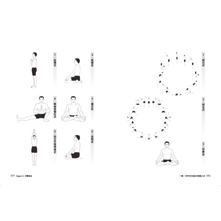 阿育吠陀瑜伽:探索身心健康的當代瑜伽之路 阿育吠陀瑜伽:探索身心健康的當代瑜伽之路