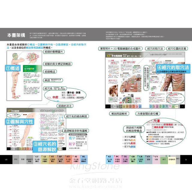 經穴大全 經穴大全