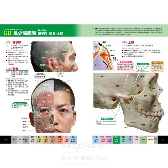 經穴大全 經穴大全