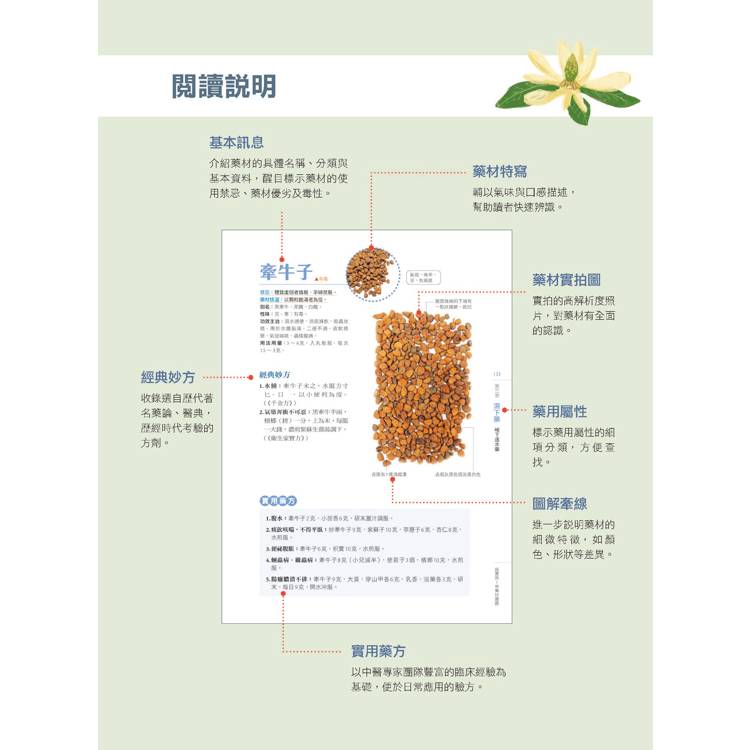 超實用! 中藥材圖鑑:日常生活必備的用藥指南 超實用! 中藥材圖鑑:日常生活必備的用藥指南