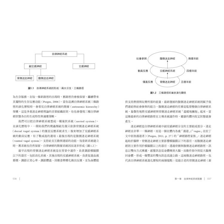 喚醒安全感的多重迷走神經練習:50個重建身心連結的實用方案 喚醒安全感的多重迷走神經練習:50個重建身心連結的實用方案