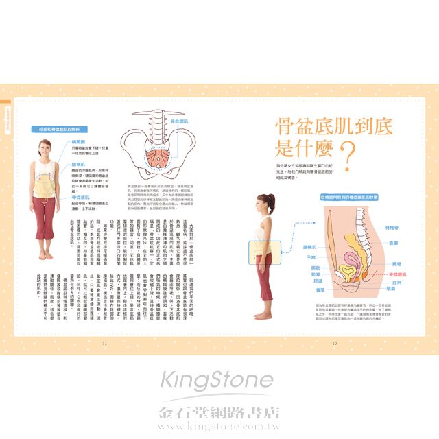 OL專屬!骨盆底肌伸展操 OL專屬!骨盆底肌伸展操