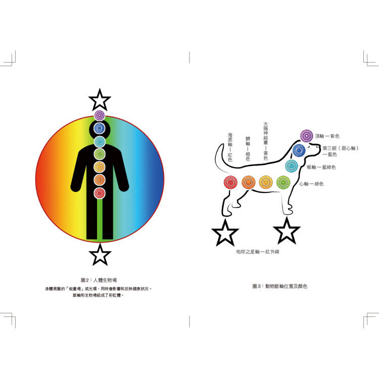 靈擺療法進階指令:超越占卜,應用更廣,誰都可以簡單上手! 靈擺療法進階指令:超越占卜,應用更廣,誰都可以簡單上手!