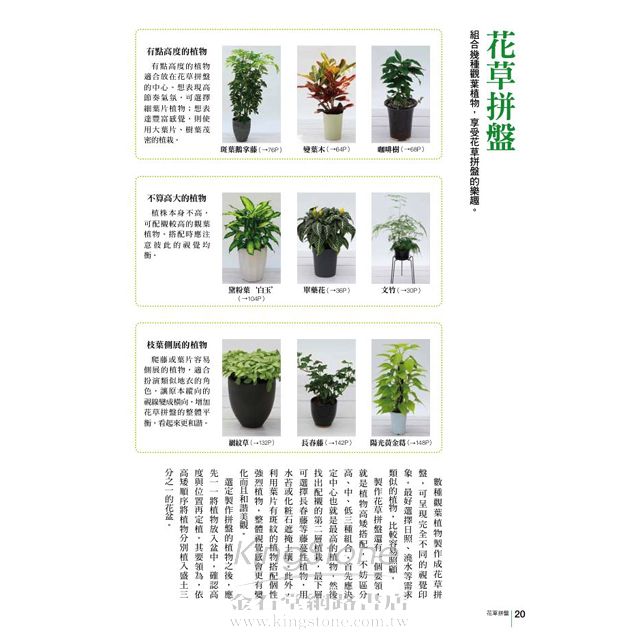 觀葉植物栽培入門 金石堂