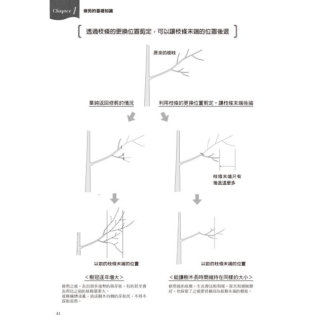 花木修剪 趣味科學 掌握讓人和樹能愉快共生的修剪訣竅 金石堂