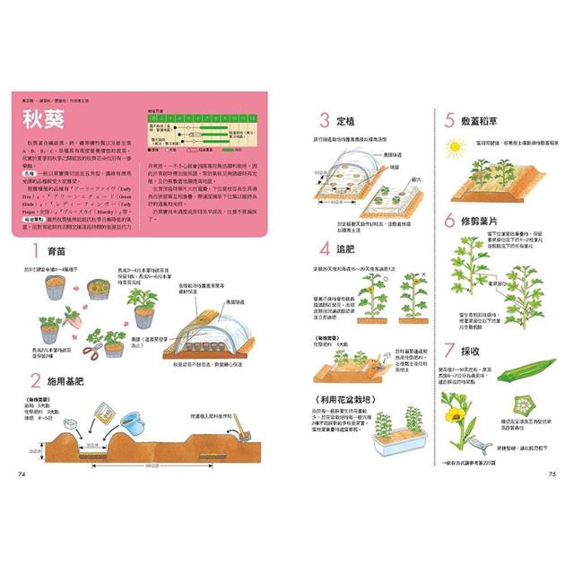 12個月新手種菜大圖解 金石堂