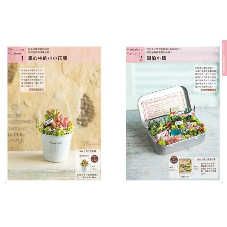 多肉植物與乾燥花的袖珍花園:從零開始打造微型庭園綠植家飾 多肉植物與乾燥花的袖珍花園:從零開始打造微型庭園綠植家飾