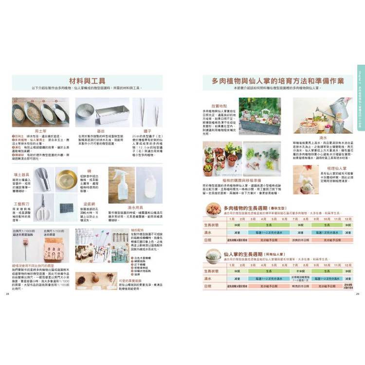 多肉植物與乾燥花的袖珍花園:從零開始打造微型庭園綠植家飾 多肉植物與乾燥花的袖珍花園:從零開始打造微型庭園綠植家飾