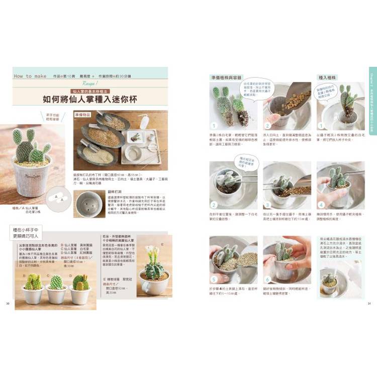 多肉植物與乾燥花的袖珍花園:從零開始打造微型庭園綠植家飾 多肉植物與乾燥花的袖珍花園:從零開始打造微型庭園綠植家飾