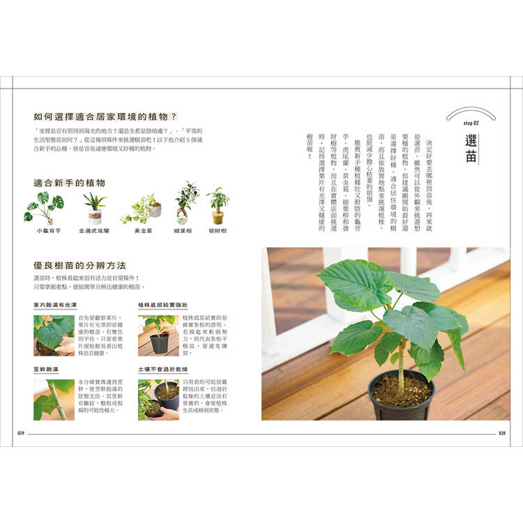 今天起,和植物一起生活:寫給想用綠意佈置家的你!36種耐陰好種、少蟲害、新手友善的室內觀葉提案 今天起,和植物一起生活:寫給想用綠意佈置家的你!36種耐陰好種、少蟲害、新手友善的室內觀葉提案