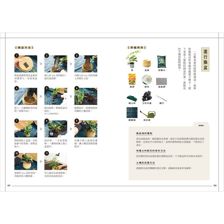 今天起,和植物一起生活:寫給想用綠意佈置家的你!36種耐陰好種、少蟲害、新手友善的室內觀葉提案 今天起,和植物一起生活:寫給想用綠意佈置家的你!36種耐陰好種、少蟲害、新手友善的室內觀葉提案