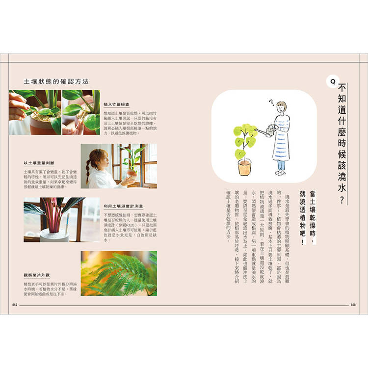 今天起,和植物一起生活:寫給想用綠意佈置家的你!36種耐陰好種、少蟲害、新手友善的室內觀葉提案 今天起,和植物一起生活:寫給想用綠意佈置家的你!36種耐陰好種、少蟲害、新手友善的室內觀葉提案